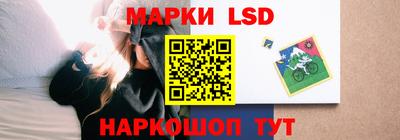 стаф Будённовск